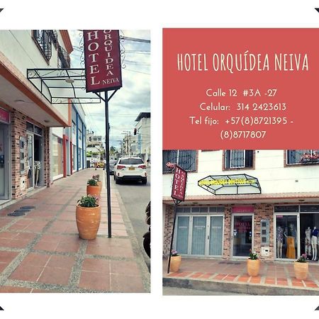 Hotel Orquidea Neiva Neiva  Eksteriør billede