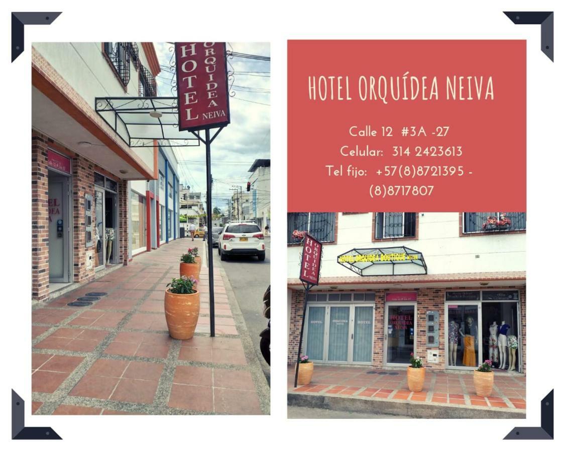 Hotel Orquidea Neiva Neiva  Eksteriør billede